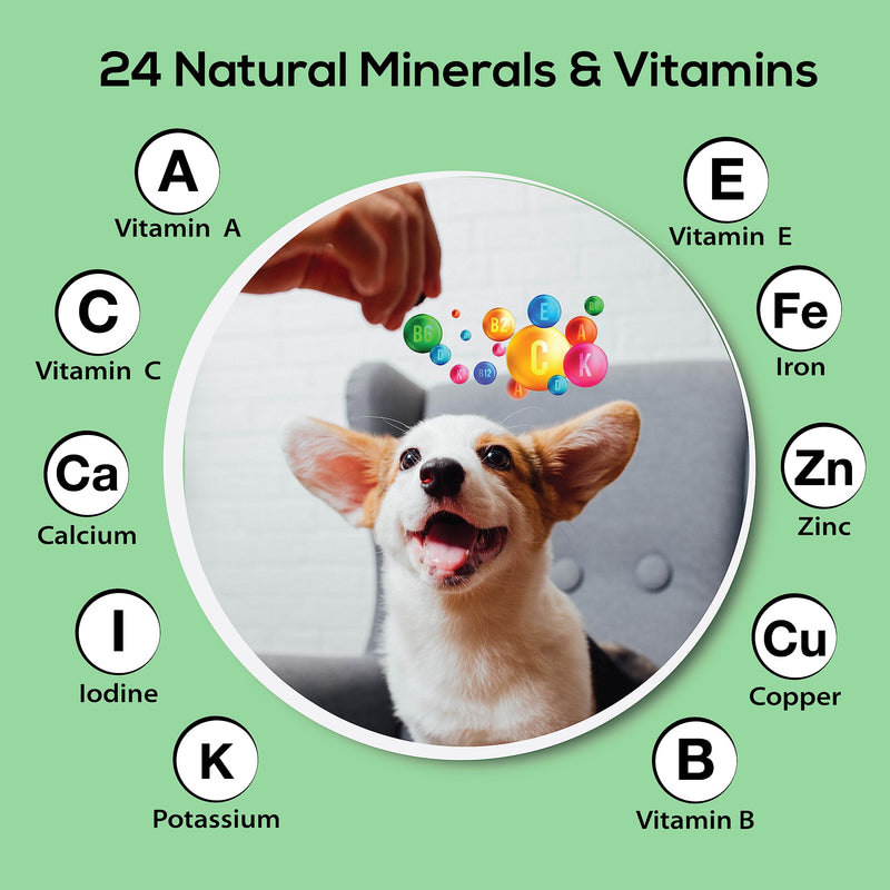 Daily Dog Vitamins - 24 Natural Minerals and Multivitamin Supplement for Dogs and Cats - Puppy to Senior - Support Brain, Heart, Joint, Muscle, Gut, Skin, Coat and Immune System.120 Tablets Vitamins and Minerals for Dogs & Cats 120 Tablets