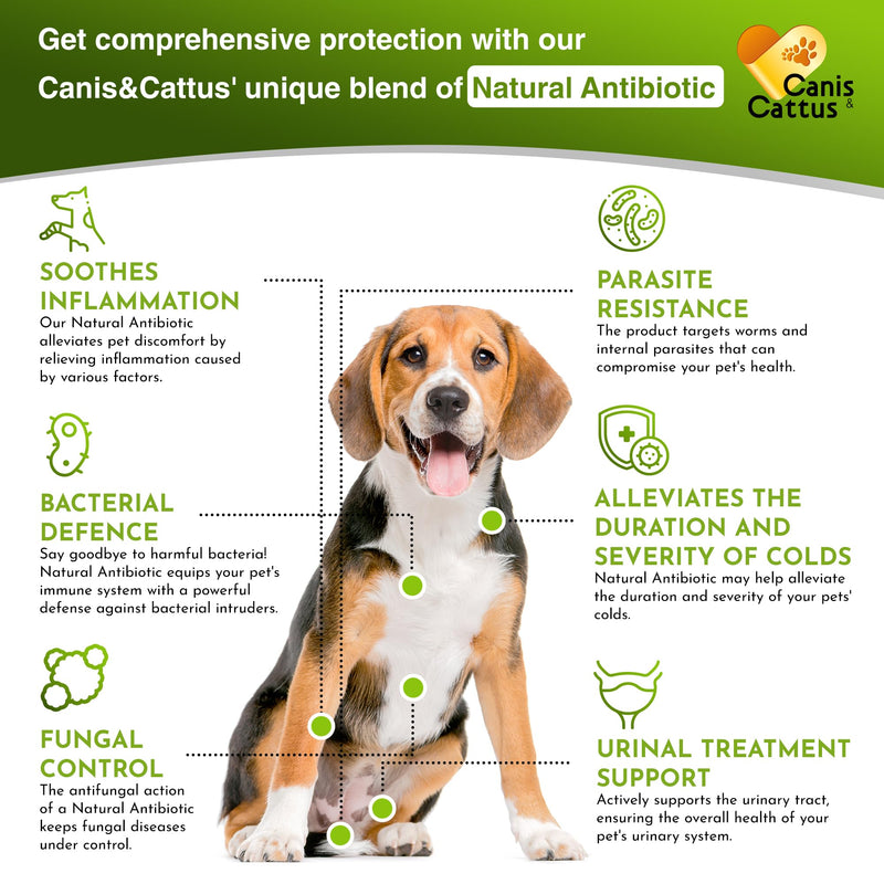 Liquid Cat & Dog Vitamins – Dog Antibiotics for All Pets – Bundle of 10 in 1 Cat & Dog Multivitamin + Antibiotic Supplement – Cough, Allergy, Sneezing, Joint Care – Vitamin C, D, B – Bottle Set x 2 oz