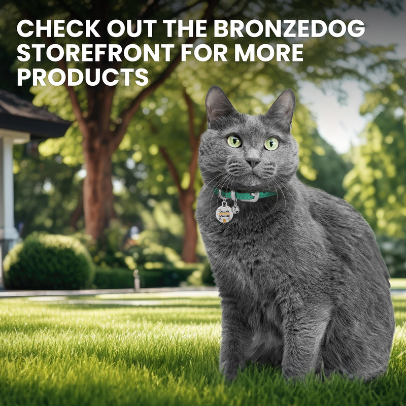 BRONZEDOG Leather Cat Collar with Bell Non Breakaway Kitten QR Tag for Girl Boy (7" - 9" for Cats, Turquoise & Silver) 7 - 9 inch - BeesActive Australia