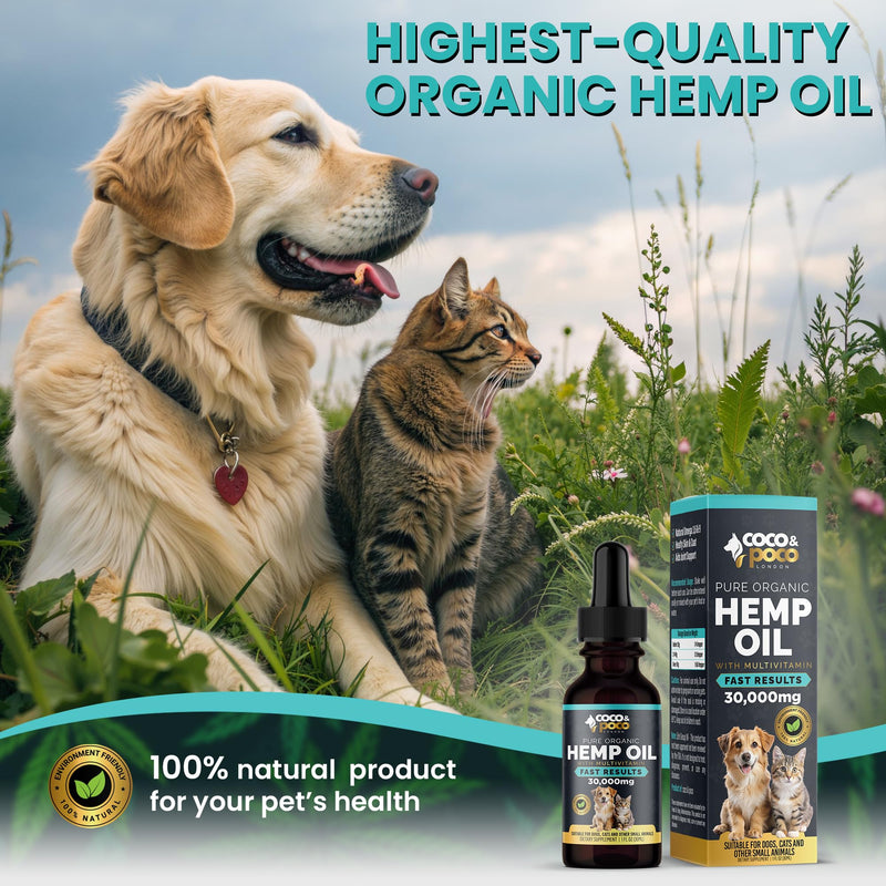 CocoPoco® Oil for Dogs Cats - Made In UK - Oil for Dog -100% Natural, Dog Calming Drops Calming Drops For Dogs - Omega 3, 6, 9 1 Pack