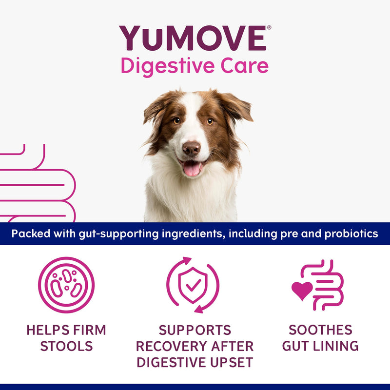 YuMOVE Digestive Care Rapid, Dog Pre and Probiotic Paste for Gut Health, Digestive Supplements with Fast-Acting Ingredients for Medium Dogs, 30ml Medium Dog Single