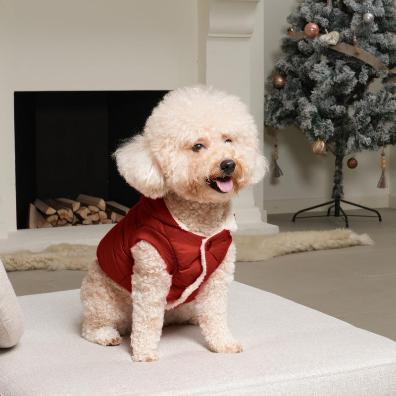 Fleece Lining Extra Warm Dog Hoodie in Winter for Small Dogs Jacket Puppy Coats with Hooded,Red M Medium (Pack of 1) Red - BeesActive Australia