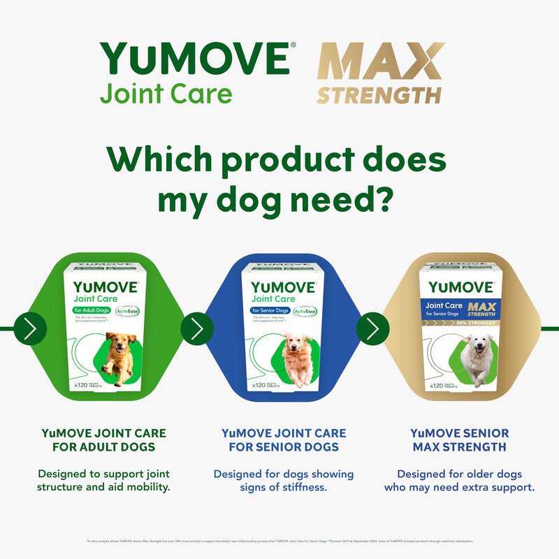 YuMOVE Max Strength Joint Supplement for Senior Dogs, Joint Care with Glucosamine, Chondroitin and Green Lipped Mussel, Age 8+, 120 Tablets Non-Eco