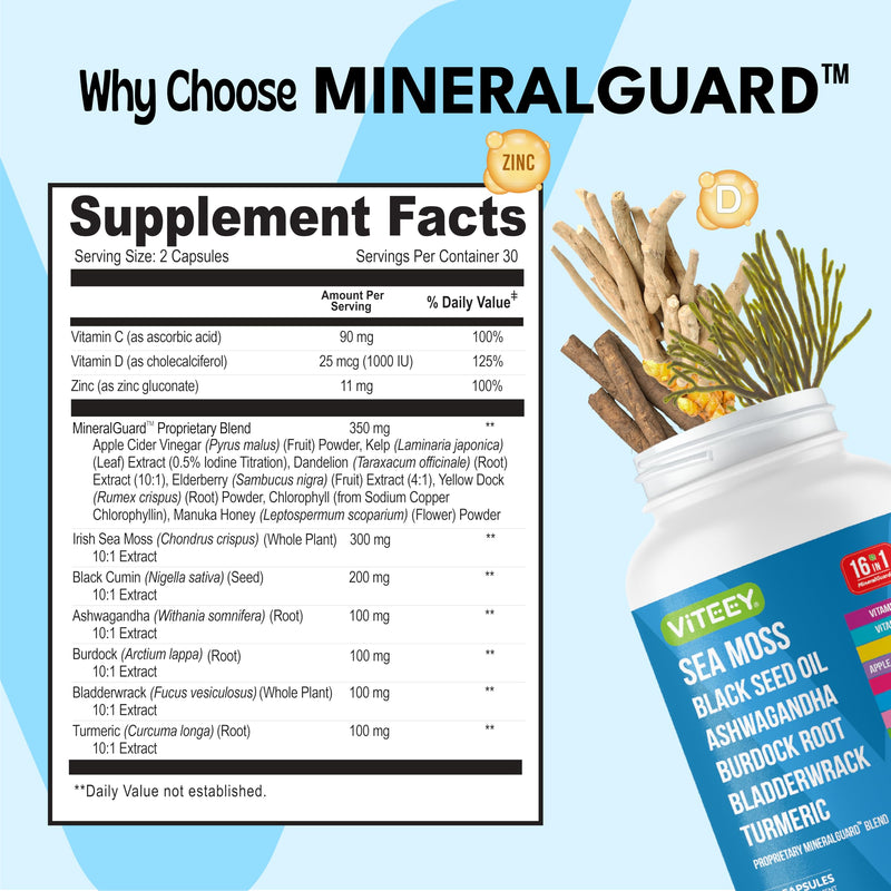 Viteey Sea Moss Capsules with Black Seed Oil - 16in1 MineralGuard | Irish Sea Moss Supplement with Bladderwrack, Burdock Root & Ashwagandha – Immune & Mineral Support - 60 Capsules