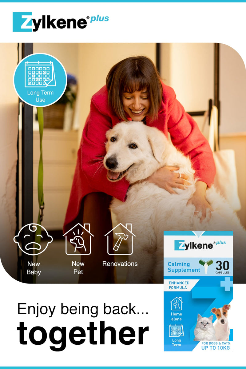 Zylkene Plus Calming Supplement for Cats & Dogs up to 10kg | Promotes Relaxation in long-term challenging situations: New baby, Home Alone, Moving house | Easily administered | 30 capsules Cats & Small Dogs