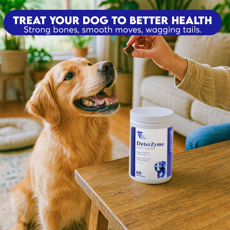 DeterZyme Stool Eating Deterrent for Dogs – 60 Soft Chews – Helps Discourage Stool Consumption – with Digestive Enzymes, Prebiotics, and Natural Herbal Blend – Supports Gut Health & Breath Freshening