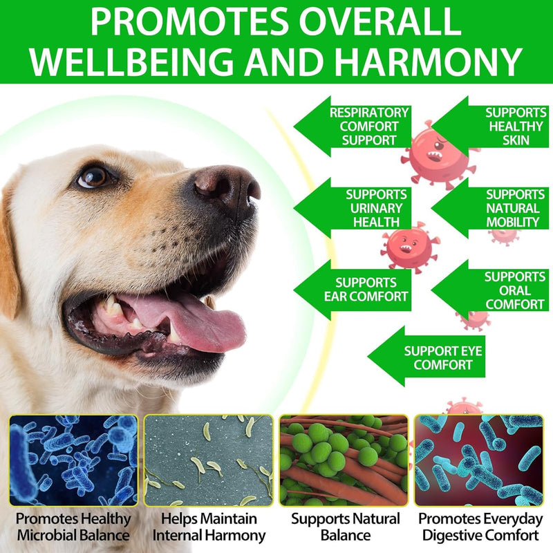 Antibiotics for Dogs, Dogs Antibiotics, Natural Formula for Dog, Supports Immune Health, Itch Relief, Allergy Relief & More, Dog Multivitamins, Bacon Flavor 60ml