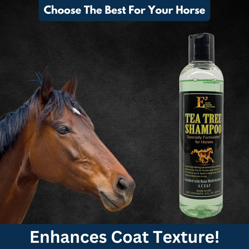 E3 Tea Tree Shampoo Specially Formulated for Horses - Therapeutic and Cleansing Formula with Natural Tea Tree Oil - Ideal for Healthy Coat Maintenance - Soothes Skin Conditions (8 fl oz) 8 fl oz - BeesActive Australia