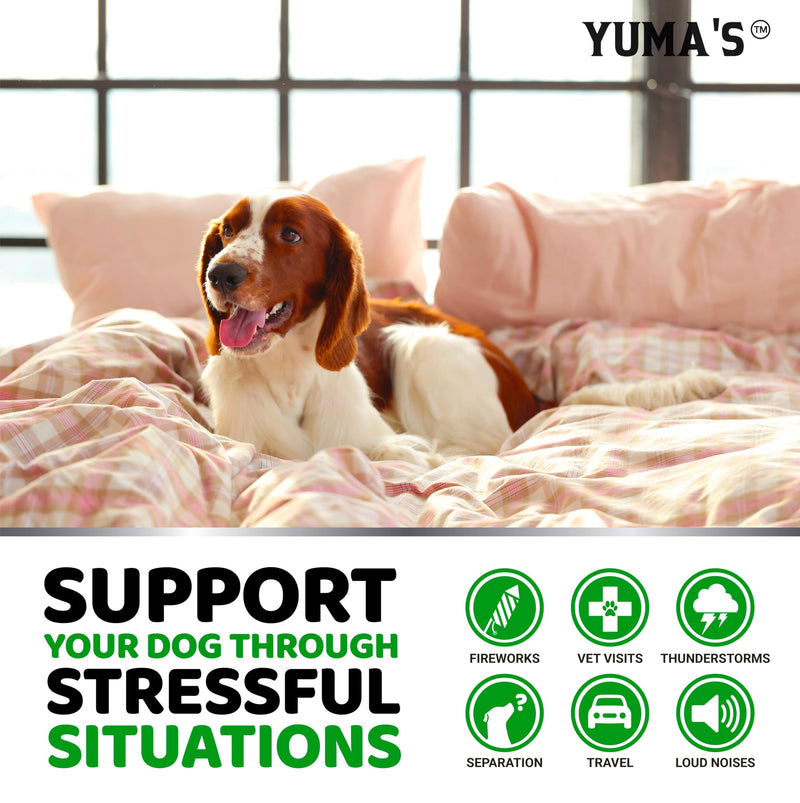 Hemp Calming Chews for Dogs - 240 Treats - Advanced Dog Calming Chews - Anxiety Relief Supplement Treats with Melatonin - Sleep Aid for Separation, Barking, Stress, Hip and Joint Support Made in USA 240 Chews