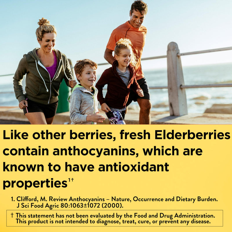 Nature Made Elderberry Gummies with Vitamin C & Zinc, 60 Elderberry Gummies | Dietary Supplement for Antioxidant and Immune Support, Suitable for Vegetarians, Raspberry Flavor, 30 Day Supply 60 Count (Pack of 1)