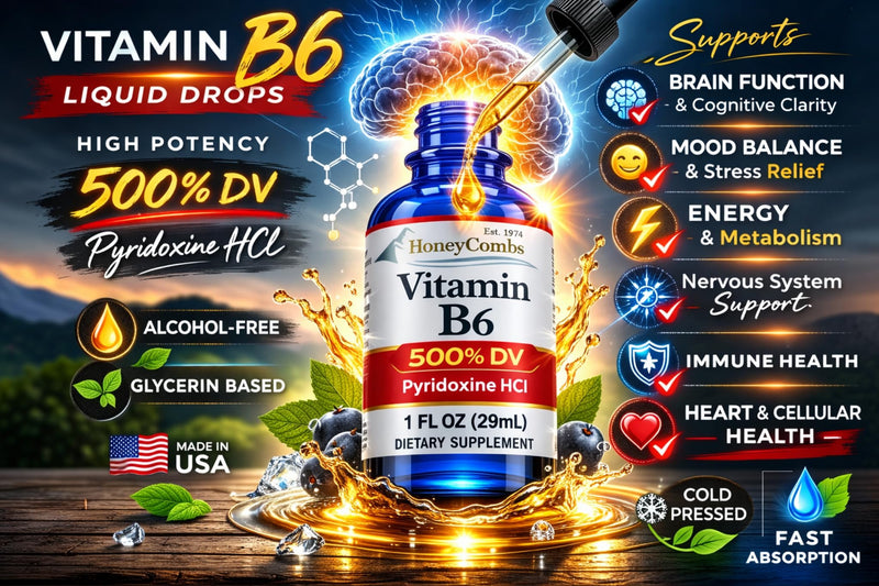 HoneyCombs Vitamin B6 Liquid Drops, Pyridoxine HCl Supplement, 1oz | Liquid Vitamin B6 Pyridoxine supports healthy energy metabolism in a fast-absorbing liquid formula. 1 Fl Oz (Pack of 1)