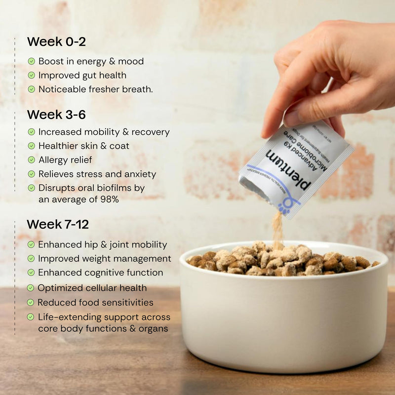 Daily Probiotic + Prebiotic + Postbiotic Dog Supplement Powder | 12-in-1 Gut, Joints, Allergy, Immunity, Calming & Oral Health | Human-Grade, No Artificial Flavors, No Fillers - 30 Sachets