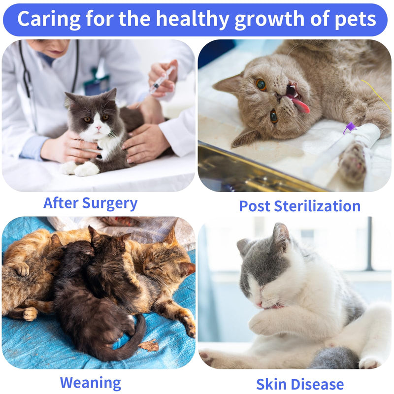 cobee Professional cat recovery suit for abdominal wounds or skin diseases, cat surgery recovery suit soft E collar cone alternative cat onesie for cats (size M) M size - BeesActive Australia