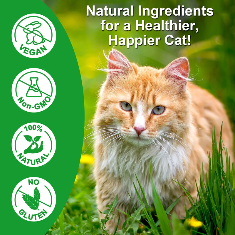 Antibiotics for Cats, Natural Antibiotic Drops Supports Immune & Allergy & Itch Relief, Vitamins Herbal Supplement, Pet Supplies Cats UTI Antibiotics, Chicken Flavor - 2 fl oz / 60ml