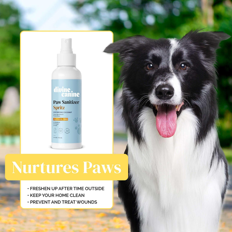 Dog Paw Cleaner - 5.1 Fl Oz of Alcohol Free Paw Sanitizer Spritz - Made with Coconut, Aloe, Copaiba Oil, and Lemongrass Oil to Nourish and Clean Paws - Made in The USA - BeesActive Australia