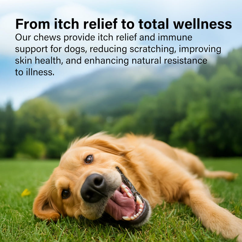 GOMUTTS All Itch and Immunity Treats for Dogs (90 Soft Chews), Anti Itch for Dogs, Help Soothe Itchy Paws, Eyes, Ears, Skin - Itching, Licking, Scratching, Daily Immune Support for All Breeds All Itch & Immunity