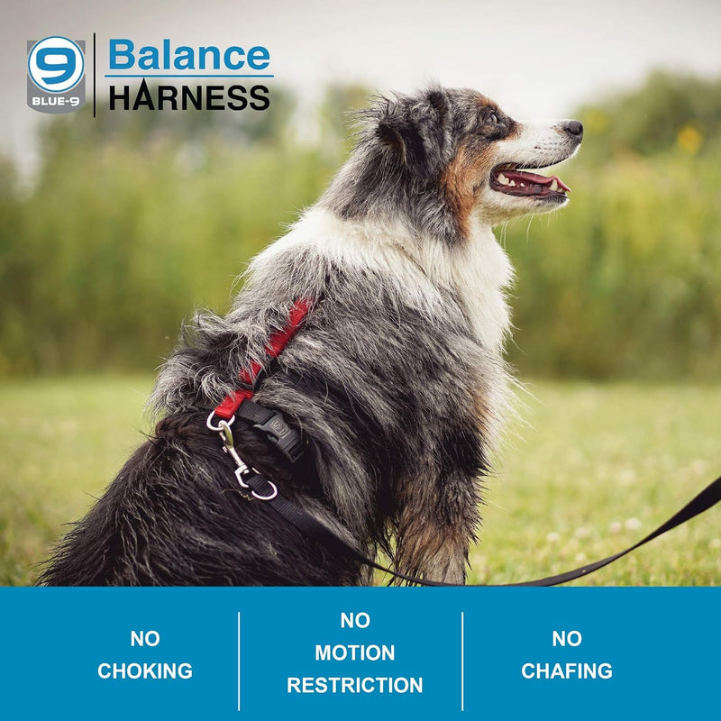 Blue-9 Buckle-Neck Balance Harness, Fully Customizable Fit No-Pull Harness, Ideal for Dog Training and Obedience, Made in The USA, Purple, Medium/Large M/L (Ribcage: 24"-35.5") - BeesActive Australia