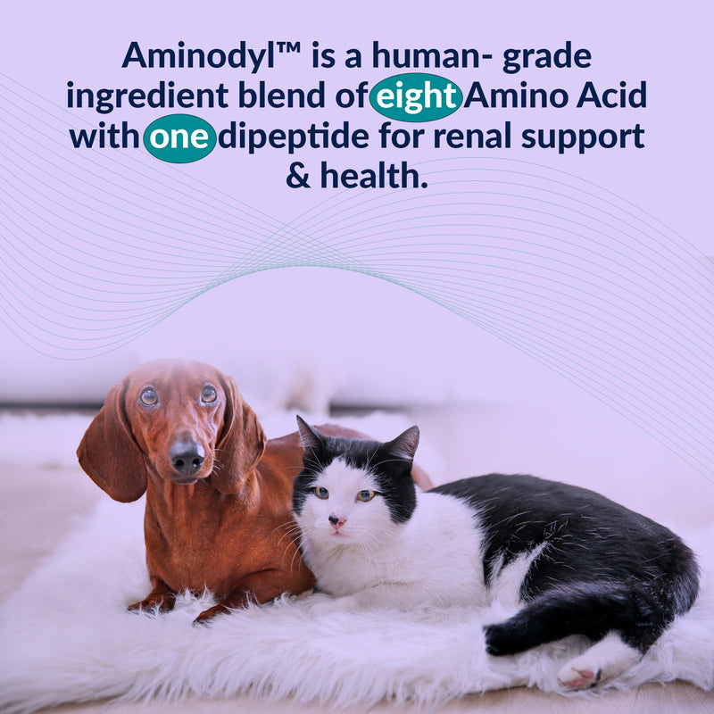 Aminodyl™ Kidney Support Supplement 1100mg for Dogs - Supports Natural Kidney Function with Amino Vastly Promotes Health, Wellbeing & Vitality of Kidneys 120 Sprinkle Capsules. Made in U.S.A Dogs >20lbs (120 Caps) 1100mg