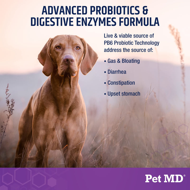 Pet MD Probiotics & Enzymes for Dogs - Gut Health Chews with Prebiotics - Digestive Aid for Dogs with Upset Stomach, Diarrhea, Constipation, or Gas - Functional Probiotics for Dogs - 60 ct - PawsPlanet Australia