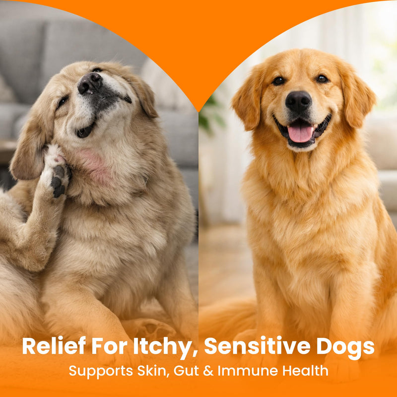Dog Allergy and Probiotic Chews - 120 Allergy Chews for Dogs - Anti Itch Support for Pets Itchy Skin Relief Skin Health Support with Colostrum, Vitamin C, Omega by Pet IV