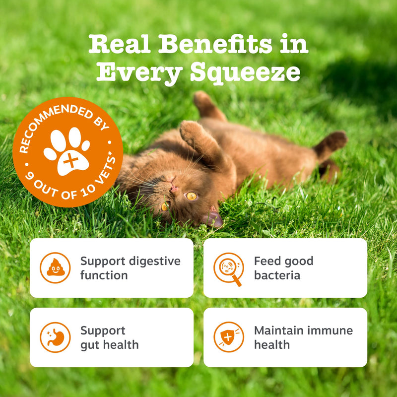 Zesty Paws Digestion & Prebiotics Paste for Cats | Helps Gut Health, Digestive Function & Immune Support | Contains Algal Oil, Postbiotics, Inulin, Vitamins C & E | Real Fish Flavour | 75g 75ml