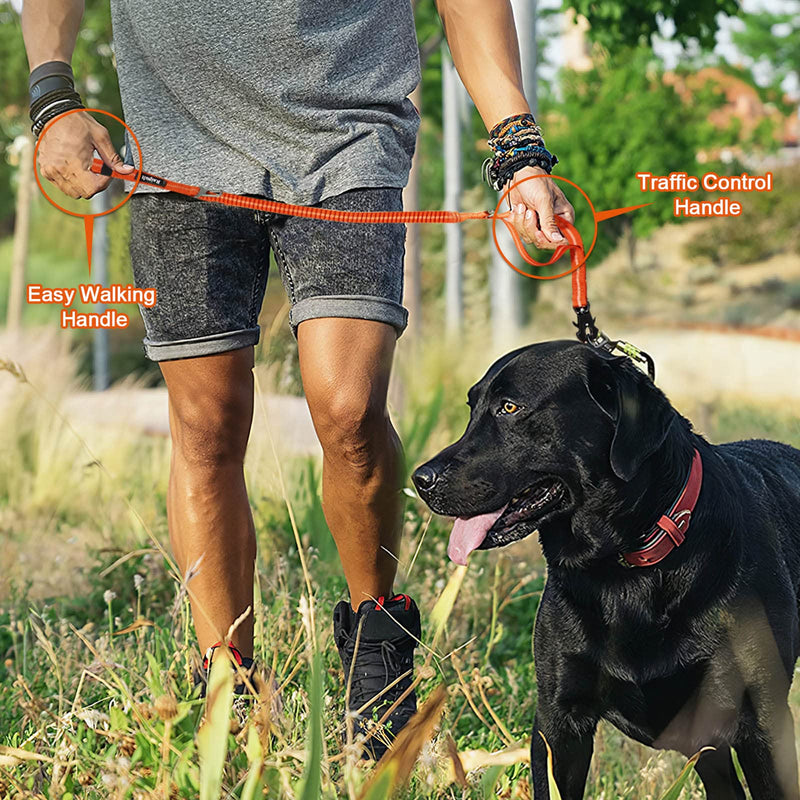 Raipult Heavy Duty Frog Clip Dog Leash, 4-6FT Strong Bungee Training Leash with 2 Handles, Highly Reflective Shock Absorbing Elastic Leashes with Car Seatbelt for Medium Large Dogs,Orange Neon Orange Aviation aluminum