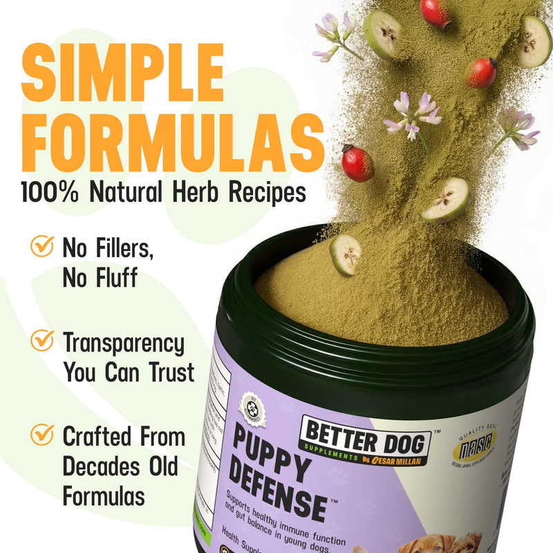 Better Dog Supplements by Cesar Millan® Puppy Defense – Natural Immune Support Powder for Young Dogs – Immunity, Gut Balance, Digestive Health & Early Wellness – 4oz, (60-Day Supply)