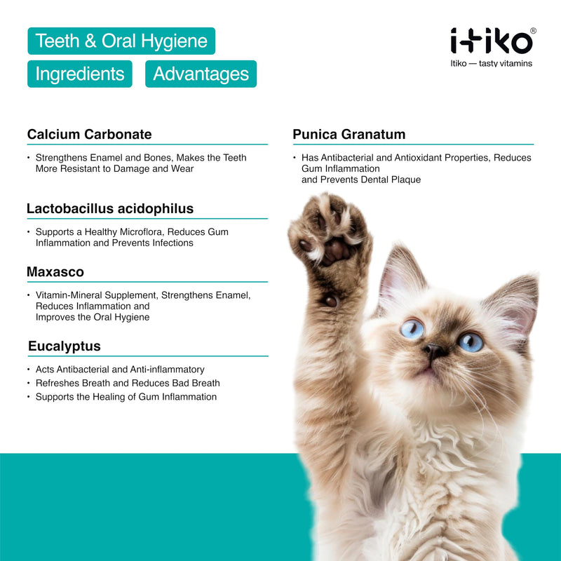 Cat Dental Care | Natural Dental Care for Cats Removes Plaque & Ensures Fresh Breath | Fights Bad Breath | Effective Tartar Remover for Cats | Alternative to Tartar Spray