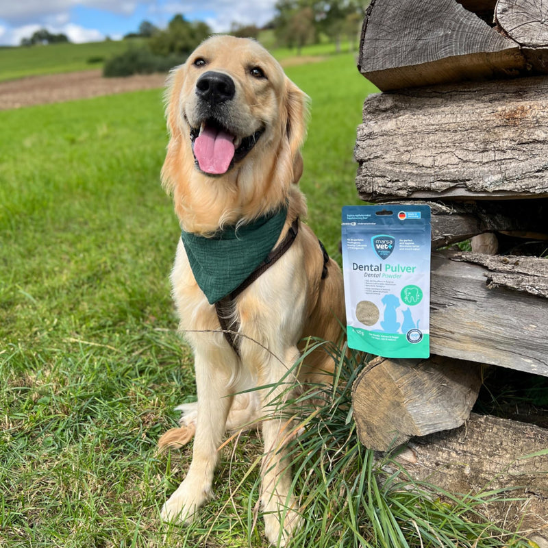 Marsavet Dental Powder - Dental Care for Dogs, Cats, Rodents with Insect Protein, Stress Free, Dog Toothbrush and Toothpaste, Eliminates Tartar, Plaque, Mouth Odour - 125g