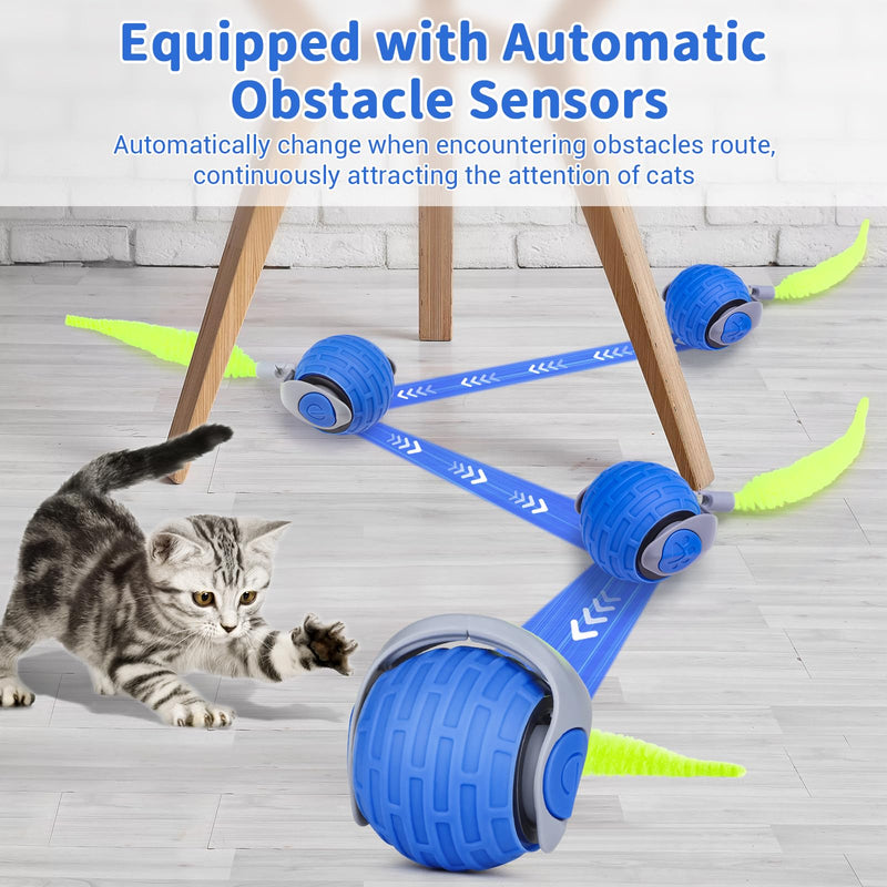 JAKPAK Cat Dog Toys Interactive Dog Cat Toy for Indoor Cats and Dogs with Tail Bird Chirping & Fast Move On Carpet Automatic Cat Dog Cat Ball Toy for Bored Indoor Cats 2.0 gen(Blue) Blue - BeesActive Australia