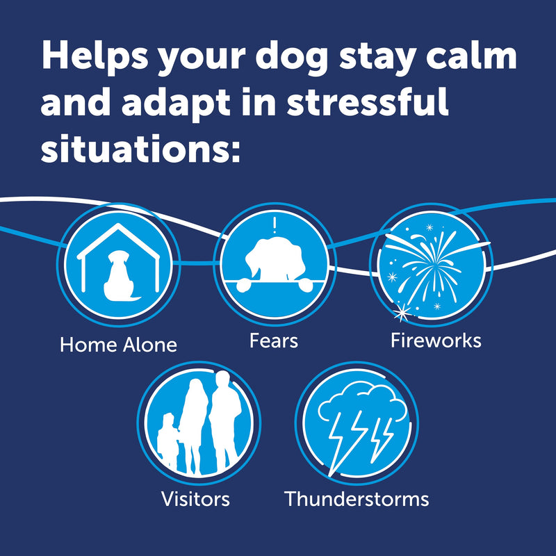 30 Day Refill For Adaptil Calm Home Diffuser For Dogs | 1 Refill For Adaptil Dog Calming Plug In Pheromone Diffuser To Help Reduce Anxiety And Stress In Pet Dogs | Diffuser Helps Dogs Stay Calmer 30 day refill pack