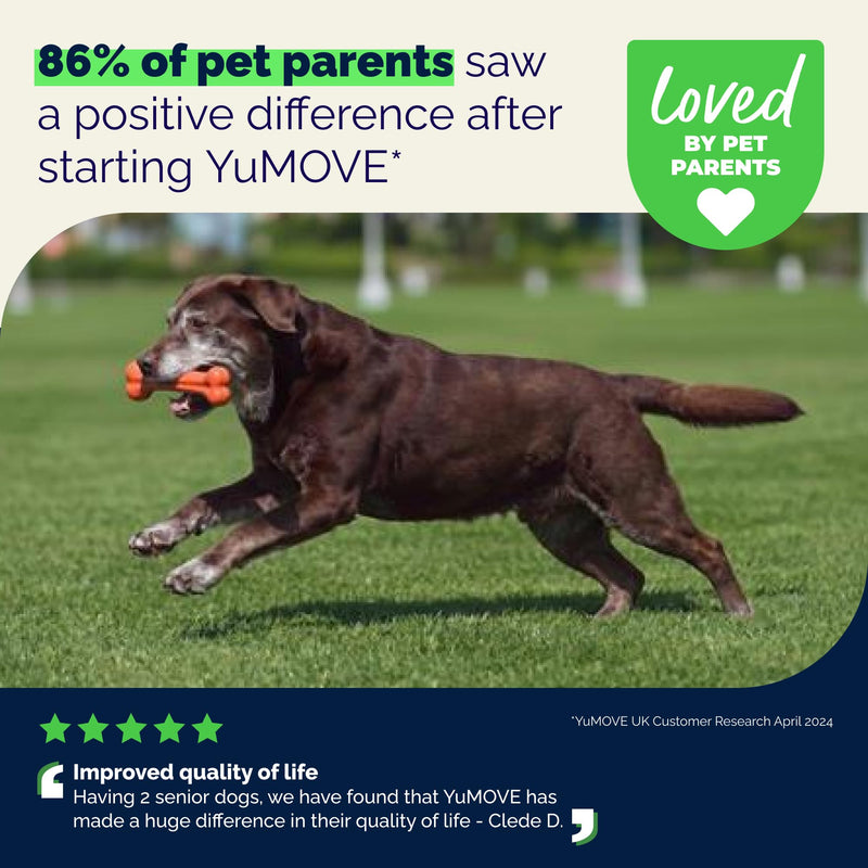 YuMOVE Senior Dog Joint Supplement, Advanced Vet Strength Hip & Joint Supplement for Dogs - Glucosamine, Hyaluronic Acid, Omega 3, Fish Oil & ActivEase Green Lipped Mussels, 120ct Chewable Tablets