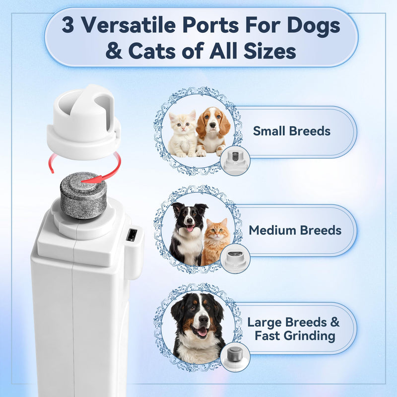 2-in-1 Dog Nail Clippers & Grinder with Light, Quiet Electric Pet Nail Trimmer for Large Medium Small Dogs & Cats, 3 Speeds, Rechargeable, Splash Guard & Safety Lock, Painless Grooming Tool (White) - BeesActive Australia