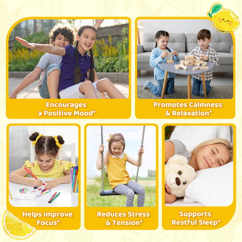 2 Pack Liposomal GABA L-Theanine Drops for Kids - Liquid GABA Supplement with Magnesium, Chamomile, Lemon Balm & Vitamin B6 - Support Relaxation, Focus & Stress Relief for Kids & Adults - Lemon 2 Fl Oz (Pack of 2)