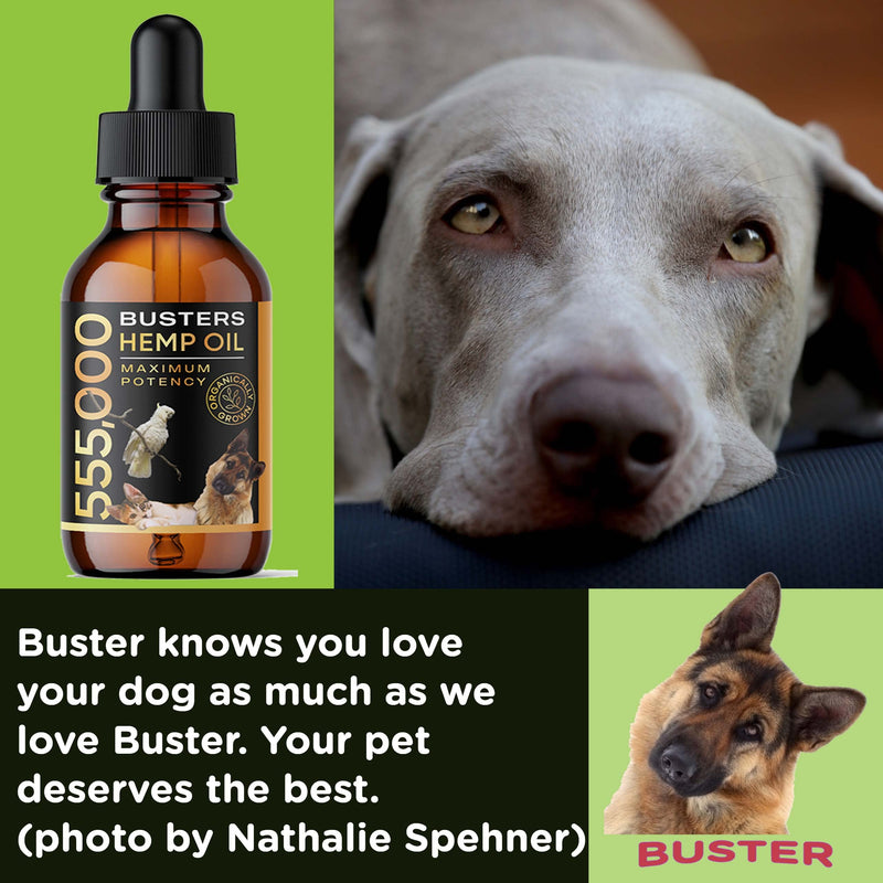 3Pack 6Month Supply Buster's Organic Hemp Oil for Dogs and Pets 555000, Large 60ml Bottle Miracle Formula, Perfectly Balanced Omegas 3, 6, 9 - Joint Support, Calming