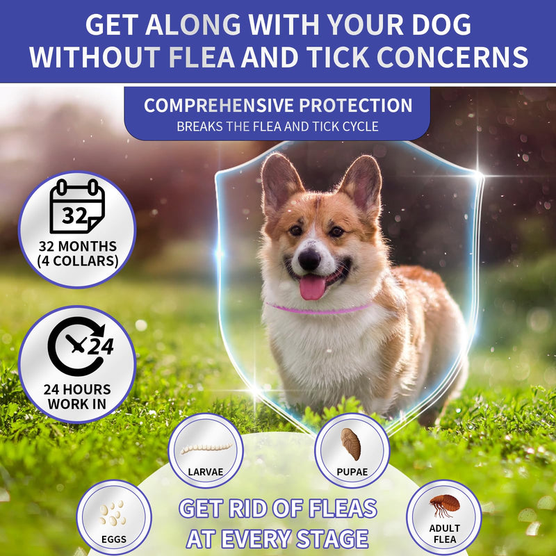 YOTANGO 4 Pack Flea Collar for Dogs, Dog Flea Collar Waterproof, 32 Months Prevention, Dog Fleas and Tick Treatment, Adjustable Fleas and Tick Protection for Dogs Puppy(Blue & Pink)