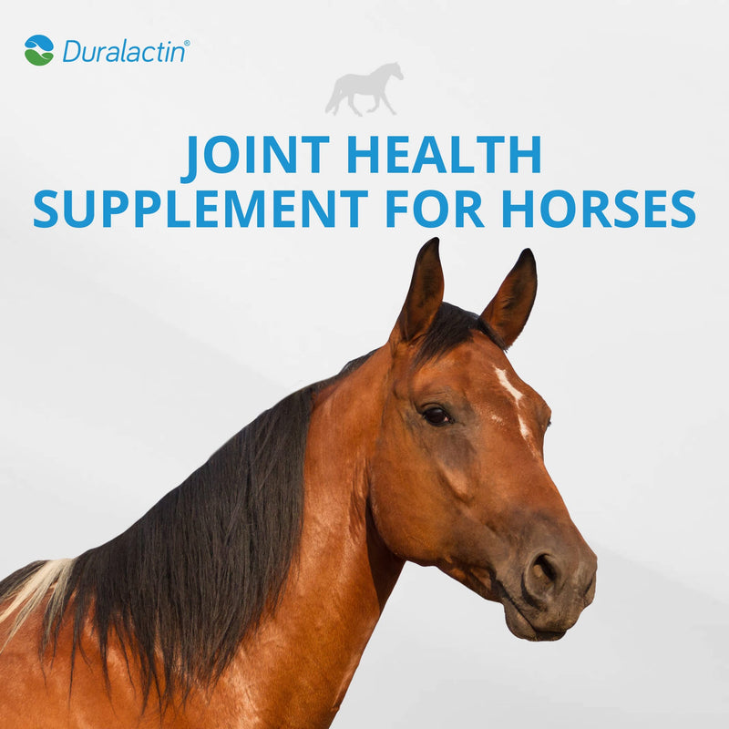 PRN Pharmacal Duralactin Equine Joint Pellets - Joint Health Supplement for Horses That Helps Maintain Healthy Cartilage, Joint Function & Manage Chronic Soreness - 1.875 lbs - BeesActive Australia