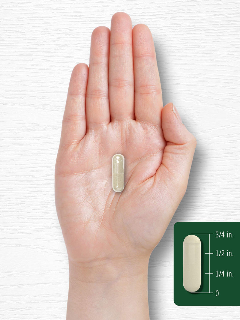 Carlyle Gymnema Sylvestre Capsules | 600mg | 200 Count | Non-GMO and Gluten Free Supplement - BeesActive Australia