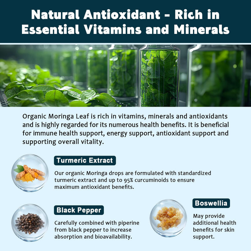 (4 Pack) Organic Moringa Leaf Extract Liquid Drops for Women and Men - Energy, Antioxidant, Skin, Immune Support, Pure Moringa Leaf Extract with Turmeric, Boswellia, Vegan, Sugar-Free, 1 Fl Oz 1 Fl Oz (Pack of 4)