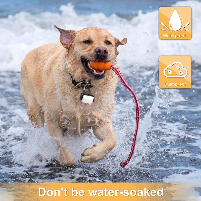 Dog Lights for Night Walking, Clip on USB Rechargeable Dog Collar Light, 3 Light Modes Dog Light, IP65 Waterproof Dog Night Light, LED Safety Light for Running, Camping, Climbing, Bike, 3 Pack - BeesActive Australia