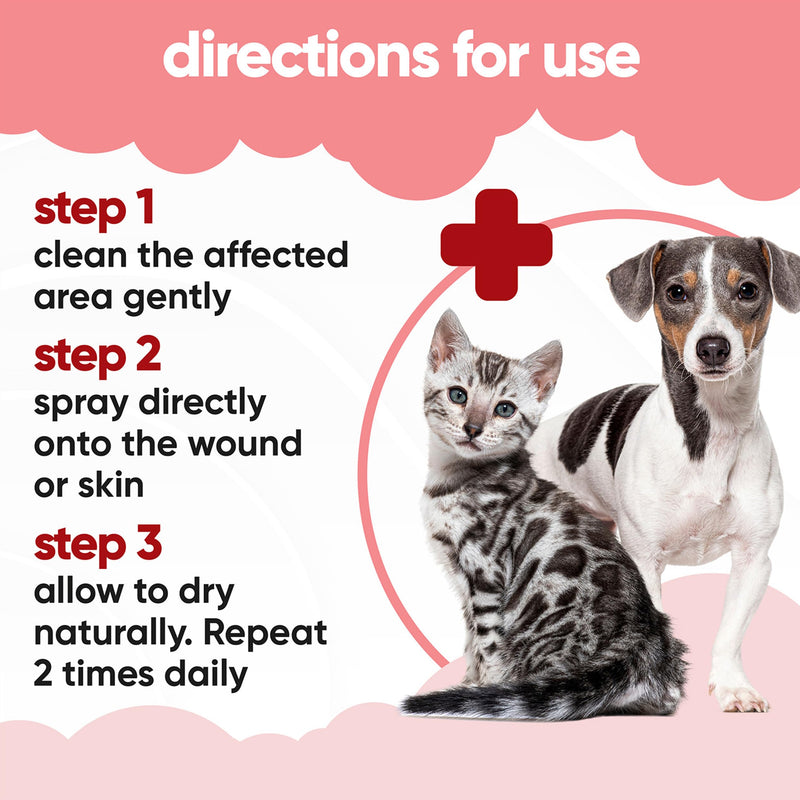 Buddycare Pet Antiseptic Spray (200ml) Dog Antiseptic Spray & Cat Antiseptic Spray Effective Dog Wound Spray, Suitable for All Pets, Pet Wound Care Solution 200ml (Pack of 1)