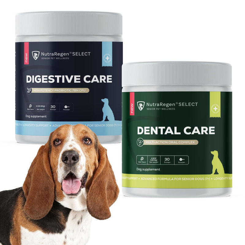 Nutraregen Select Dog Digestive Probiotic Powder and Dental Support Bundle | Pet Dental Powder & Dog Breath Freshener, 7 Bn CFU | 60 Scoops, 6.7 oz