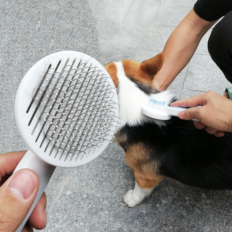 Cat Brush Dog Brush for Short Hair and Long Hair, Self-Cleaning Slicker Dog Brush for Pets Removes Loose Hair Tangles, Pet Comb with Massage Particles is Skin-Friendly (Blue) Blue - BeesActive Australia