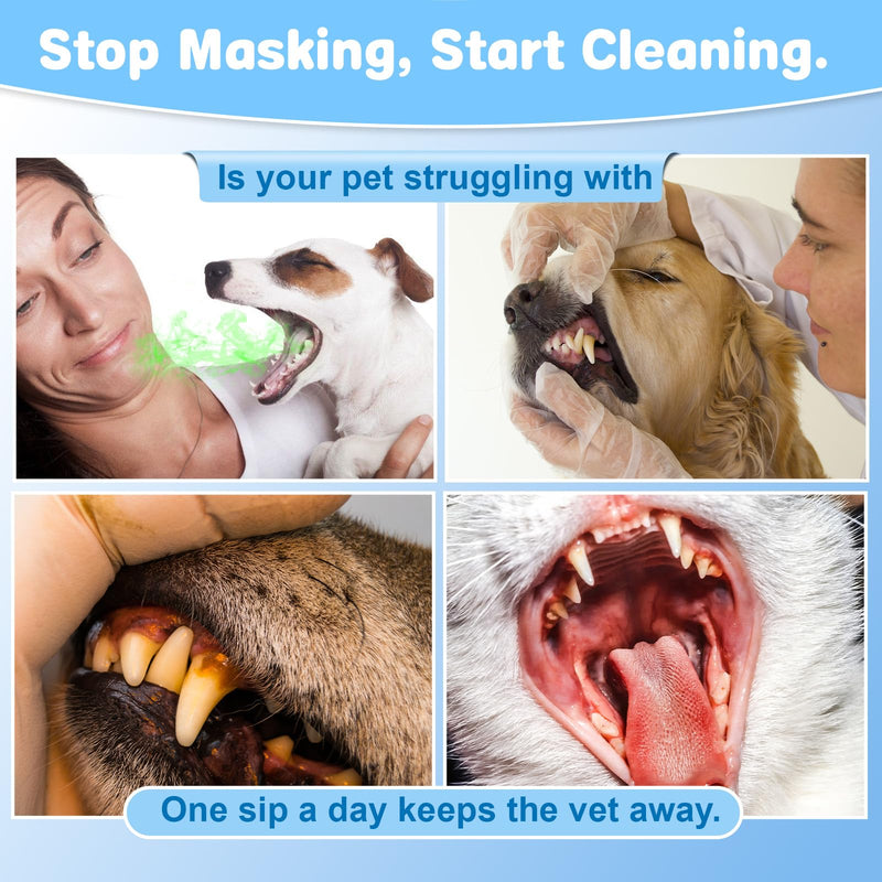 Dog & Cat Oral Care Bundle – Dental Water & Pet Cleaning Gloves Set for Daily Mouth Freshness & Gentle Grooming