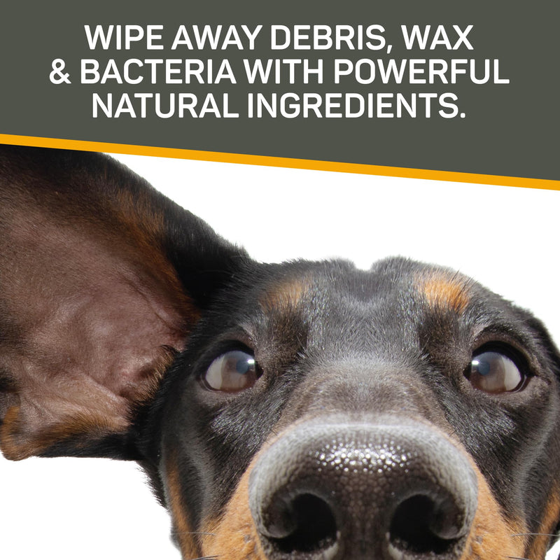 Absorbine Silver Honey Rapid Ear Care Vet Strength Pet Wipes, 50ct, Manuka Honey & MicroSilver BG - BeesActive Australia