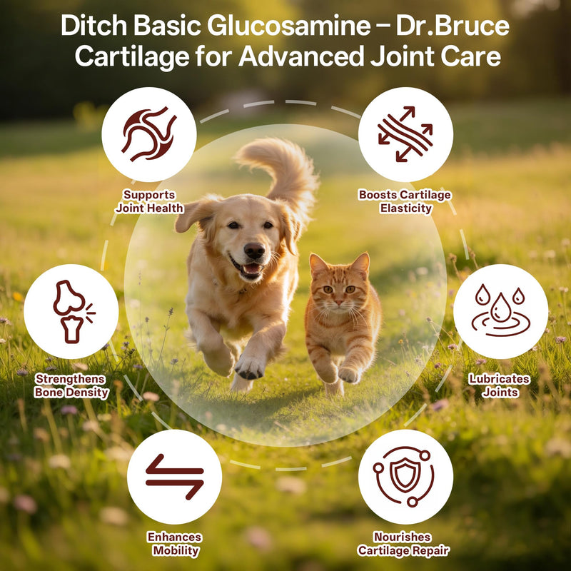 Joint Supplement for Dogs & Cats, Chondroitin Sulfate & Calcium Carbonate, Supports Hip, Joint & Bone Health, Chelated Trace Minerals for Skin & Coat, Meat Formula for All Breeds, 140 Chewable Tablets