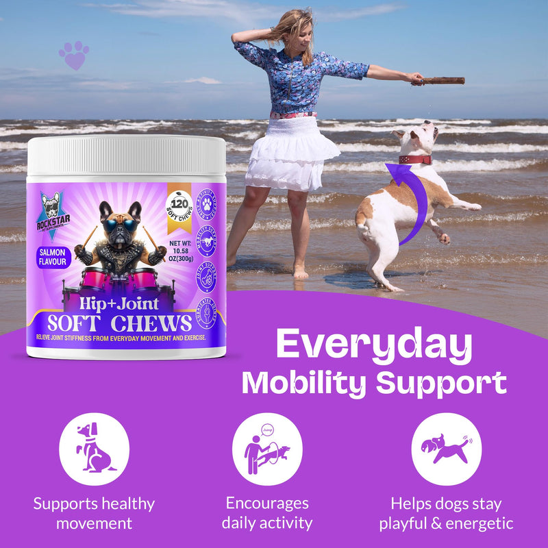 Hip+Joint Soft Chews for Dogs | Salmon Flavour | Daily Support with Chondroitin & MSM | Relieves Stiffness & Promotes Mobility-Perfect for Small, Medium & Large Dogs