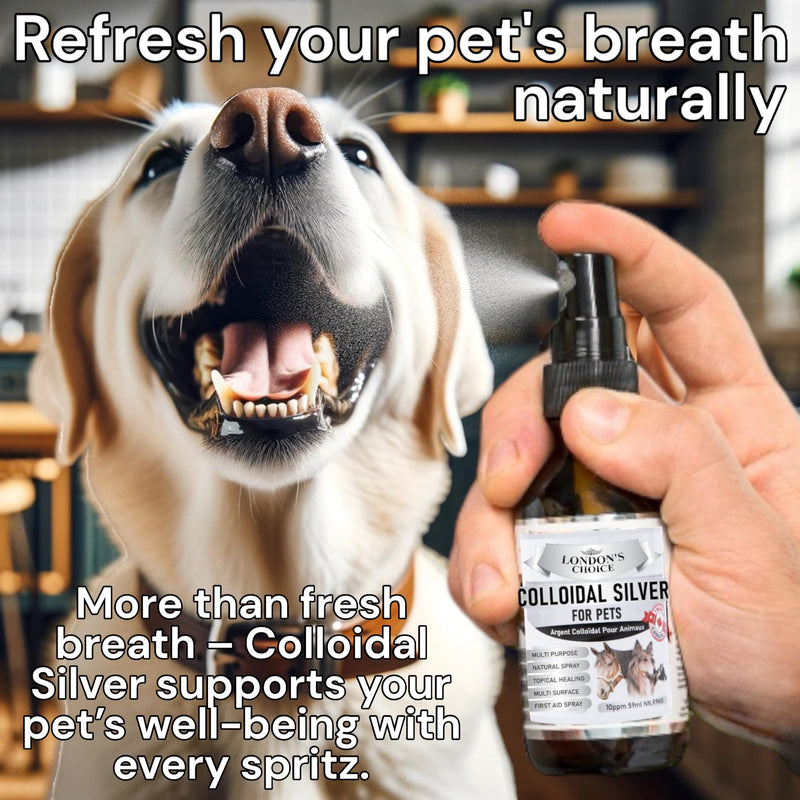 Colloidal Silver for Dogs: 2oz (59ml) Multi-Purpose Silver Spray - Optimal for Dog Wound Care, Cat Acne, and Oral Health, Essential Skin Care Spray for Pet First Aid Kits Small - BeesActive Australia