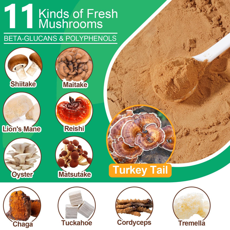 Mushroom Supplement Powder for Dogs & Cats, 11 Beneficial Mushroom Complex for Immune Support, Cellular Protection, Heart & Brain Health Lion's Mane, Reishi & Turkey Tail, Bacon Flavor - 120g 120 g (Pack of 1)