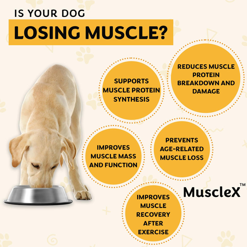 MuscleX™ Feline Canine Muscle Formula Cats & Small Dogs with 300 mg CaHMB & Vitamin D3, Natural Muscl Building formula - Helps Reduce Muscle Loss Due to Normal Aging & Improve Injury Recovery(90 Caps)